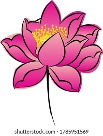 Beautiful vector lotus flowers and leaves in graphic style.