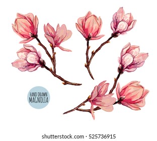 Beautiful vector magnolia branches illustration. Exotic Flower. Vector Design. Summer and Spring Floral Background. 