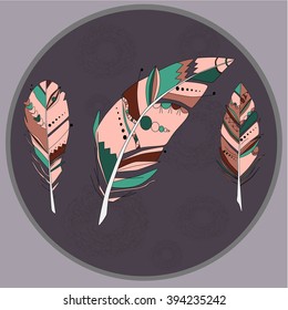Beautiful vector medallion with feathers in boho style. 3 beautiful colored bird feather
