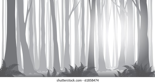 beautiful vector misty forest banner in gray-scale