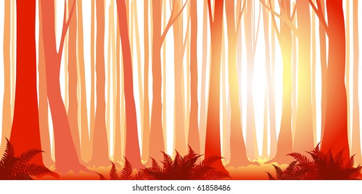 beautiful vector misty forest banner in warm colors