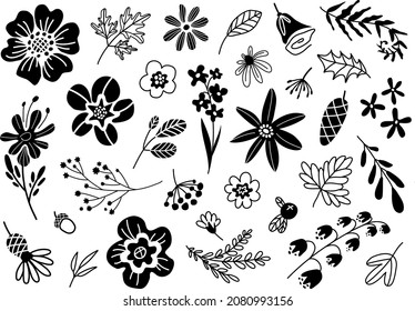 Beautiful vector monochrome floral elements set, flowers set