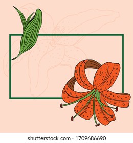 Hermosa flor vectorial de lirio anaranjado y carta de hojas. Invitación con flor.