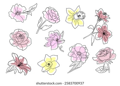 Beautiful Vector Outline Set of Various Flowers Designed for Digital Artwork and Crafts