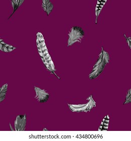 Beautiful vector painted feathers on a white background, the idea of textiles, feathers vector
