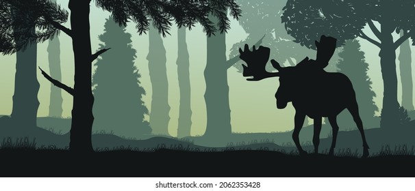 Beautiful vector panorama. Elk. Forest.