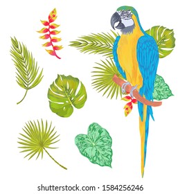 Beautiful vector parrot macaw sitting on the branch with tropical flowers and leaves