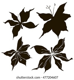 Beautiful vector pattern with abstract flowers