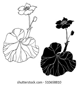 Beautiful vector pattern with abstract flowers