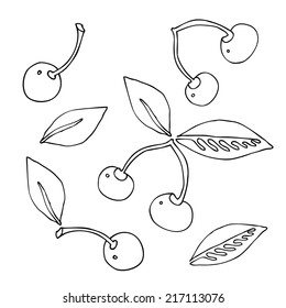 Beautiful vector  pattern with cherry