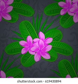 Beautiful vector pattern for decoration and design. Watercolor seamless pattern with plumeria flowers on a gray background. Vintage style trendy print. Exquisite pattern of plumeria flowers.