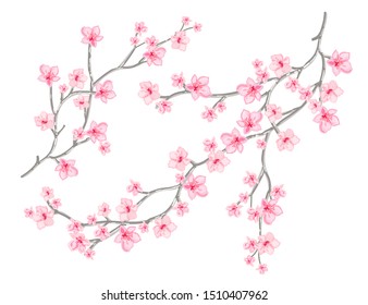 Beautiful vector pattern illustration with tropical japanese flowers, tree, spring wallpaper, branches. Perfect for wallpapers, web page backgrounds, surface textures, textile.
