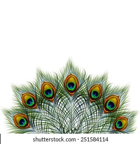 Beautiful vector peacock feathers on retro background with space for text. EPS 10