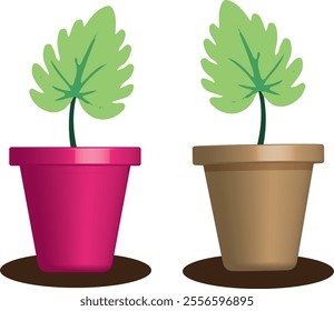 Beautiful and Vector Plant Design