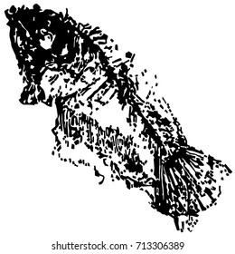 Beautiful  vector with prehistoric fish. Black silhouettes on white background.
