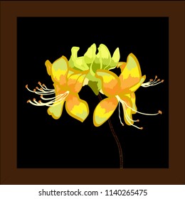 Beautiful vector rhododendron on a black background with green leaves