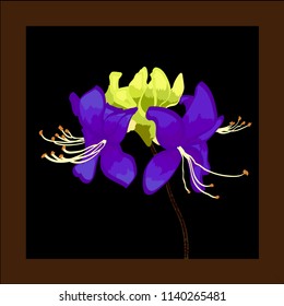 Beautiful vector rhododendron on a black background with green leaves