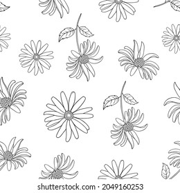 Beautiful vector seamless pattern with autumn flowers. Line art monochrome illustration