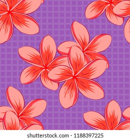 Beautiful vector seamless pattern for decoration and design. Exquisite pattern with plumeria flowers in vintage style. Trendy print with cute plumeria flowers in violet, pink, red and orange colors.