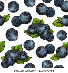 Beautiful vector seamless pattern with natural fresh blueberries. Bright blue, violet and green hand drawn watercolor elements on white background.