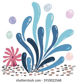 Beautiful vector seaweed, coral, shells, stones, underwater world