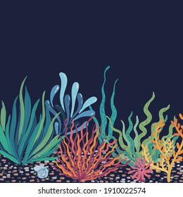 Beautiful vector seaweed, coral, shells, stones, underwater world