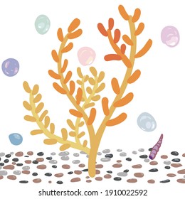 Beautiful vector seaweed, coral, shells, stones, underwater world