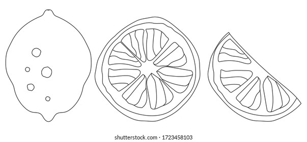 hermoso conjunto vectorial de ilustraciones en blanco y negro limón, medio limón, limón