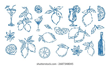 A beautiful vector set of blue and white lemon icons with a seamless pattern suitable for summer design and decoration