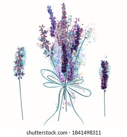 Schöner Vektorset aus Lavendelblumen im Aquarell-Stil
