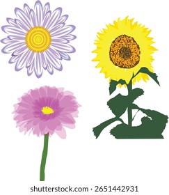 Beautiful vector set featuring diverse floral elements in detailed, artistic styles. Perfect for stationery, packaging, textile designs, and digital artwork.