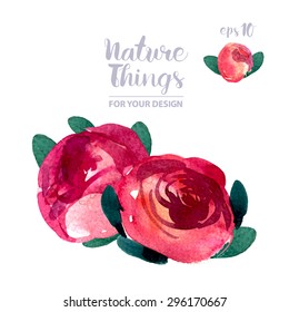 Beautiful vector set flowers and twigs in a watercolor style. Handmade. Spring design for invitation, wedding or greeting cards.