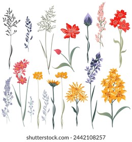 Beautiful vector set of hand drawn flowers in vintage style