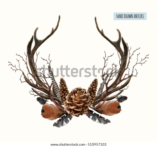 Beautiful Vector Set Horns Branches Hand Stock Vector (Royalty Free
