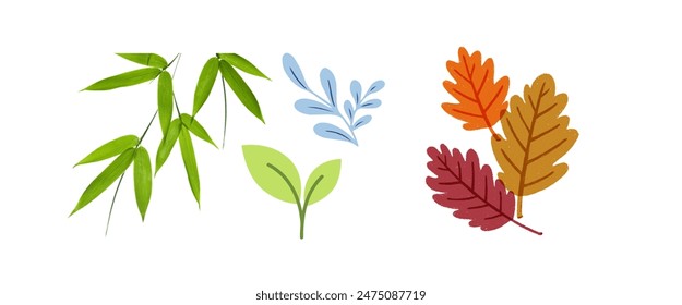 Hermosas Formas de Vector de hojas