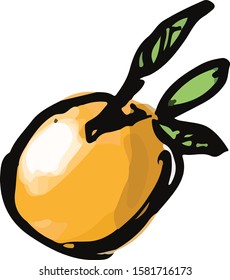 Beautiful vector sketch-style orange fruit