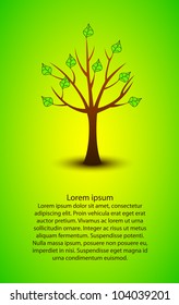 beautiful vector spring tree