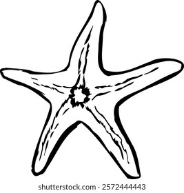 Beautiful vector starfish in black color, sea animal icon