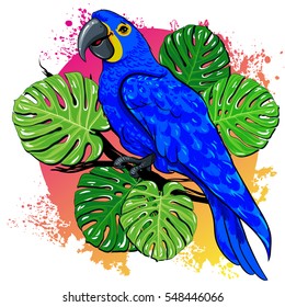Beautiful vector summer drawing with parrot, palm leaves