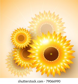 beautiful vector sunflower background design