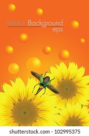 beautiful vector sunflower green bug