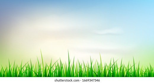 Beautiful vector sunny lawn or meadow with fluffy clouds and sun in the sky. Realistic vector background
