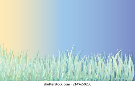 Beautiful vector sunny lawn or meadow with sun rays in the sky.