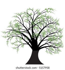 beautiful vector tree design