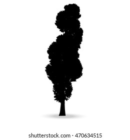Beautiful vector tree silhouette