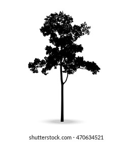 Beautiful vector tree silhouette