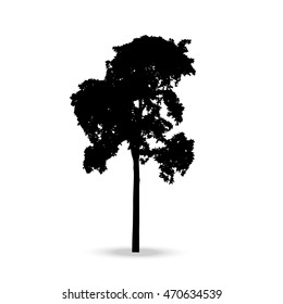 Beautiful vector tree silhouette