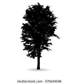 Beautiful vector tree silhouette