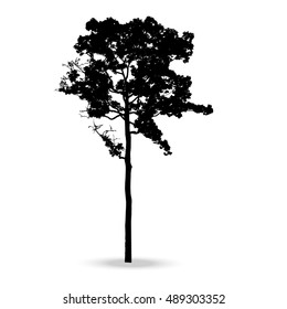 Beautiful vector tree silhouette