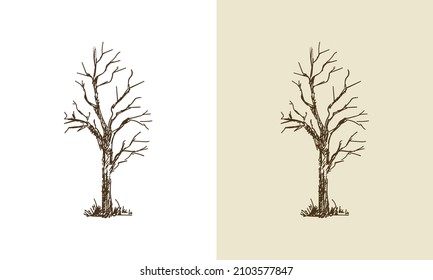 Beautiful vector tree silhouette outline vector icon for nature apps and websites